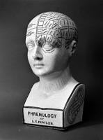 Photograph Phrenology a ceramic head Wellcome L0002360